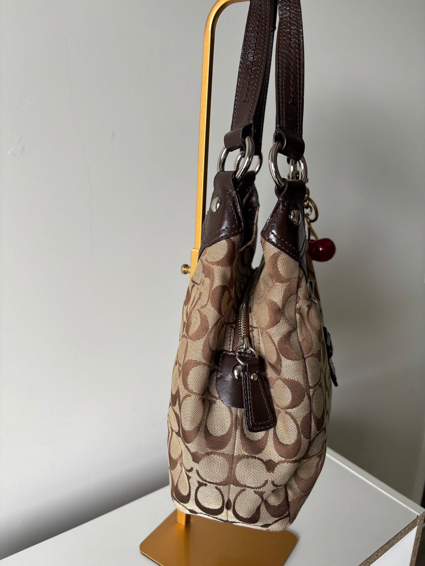 Brown coach soho Lyn