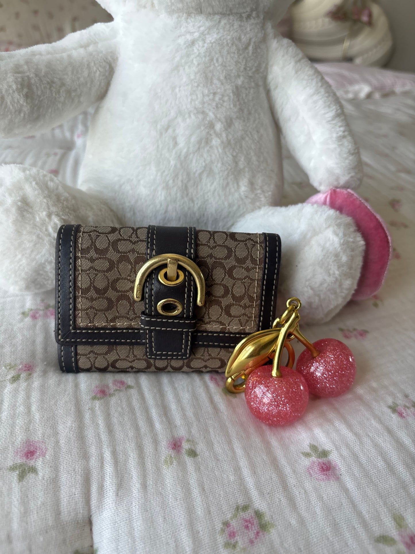 Brown soho coach wallet