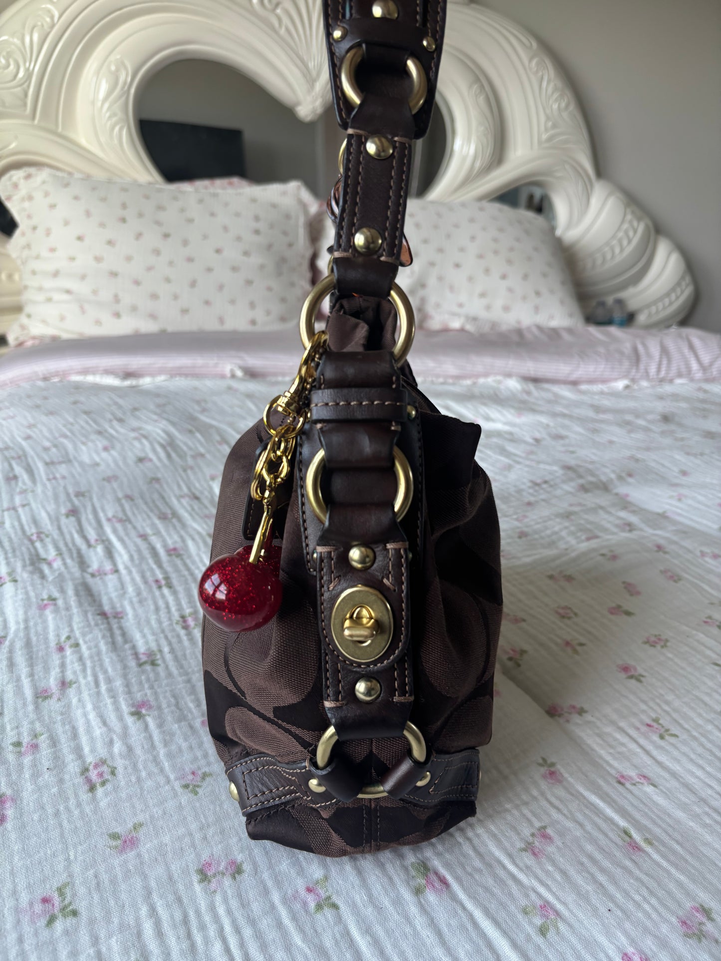 Chocolate brown coach Carly