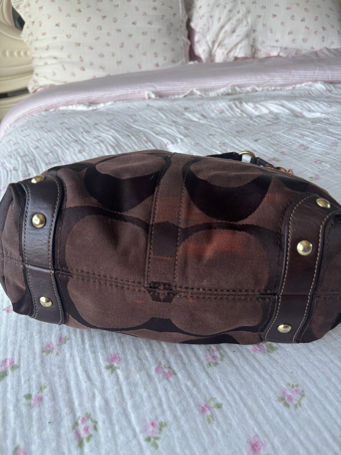 Chocolate brown coach Carly