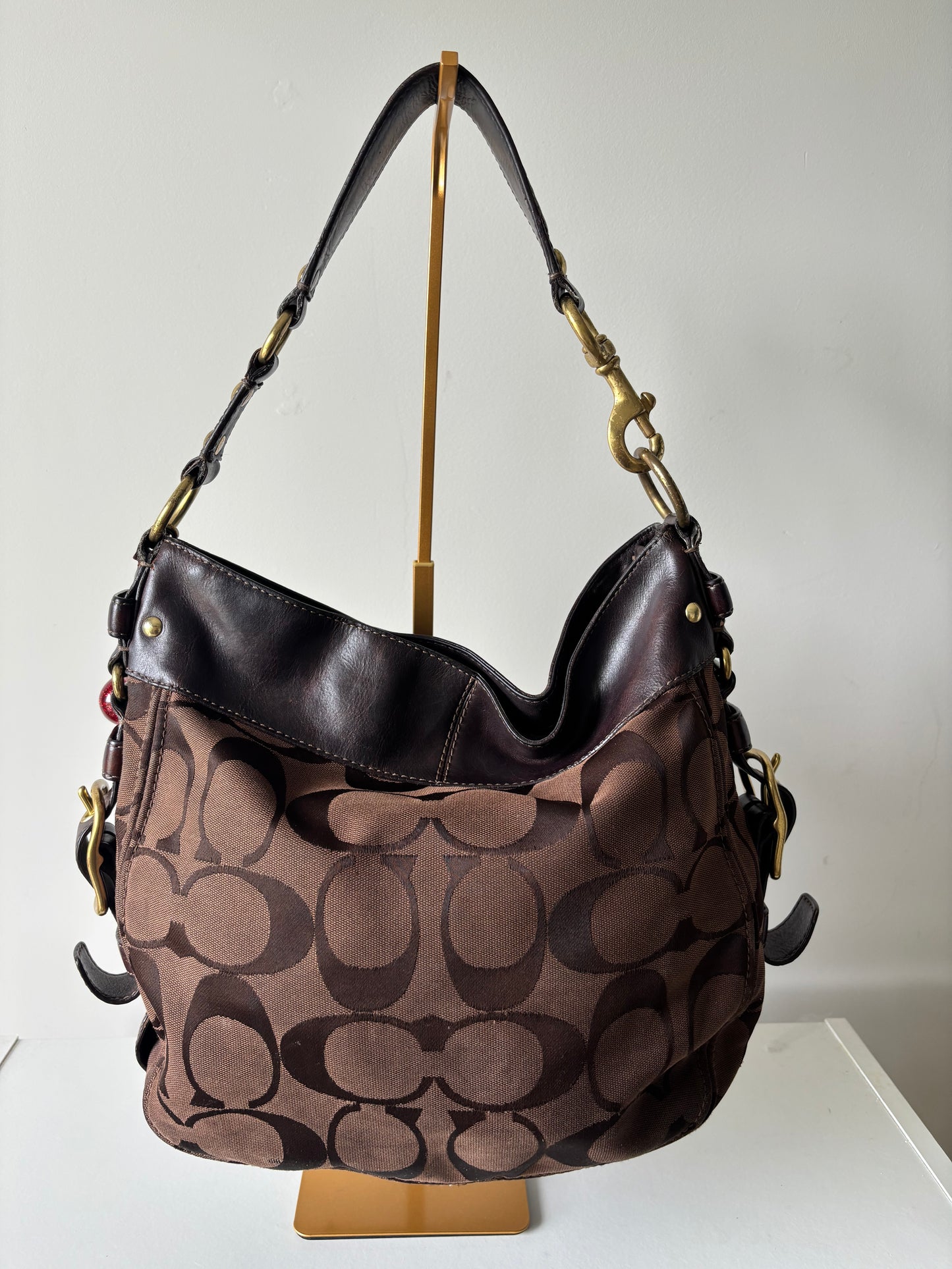 Brown coach Zoe