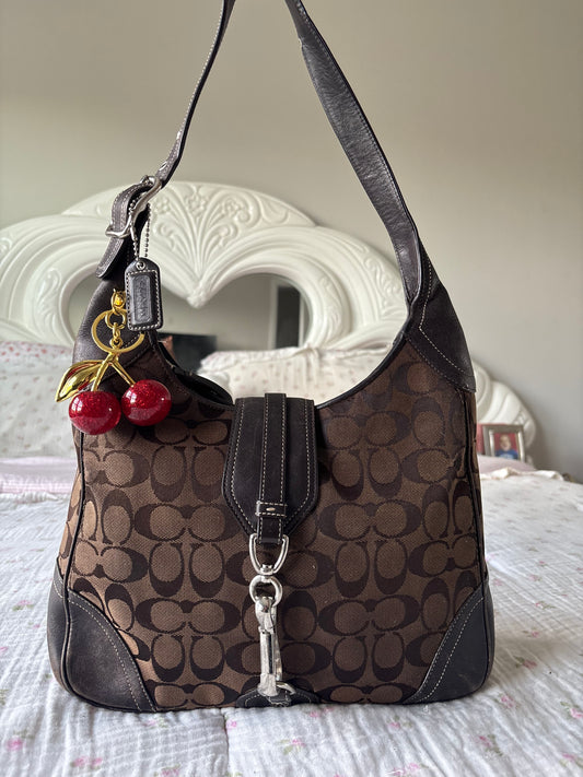 Brown Hampton coach bag