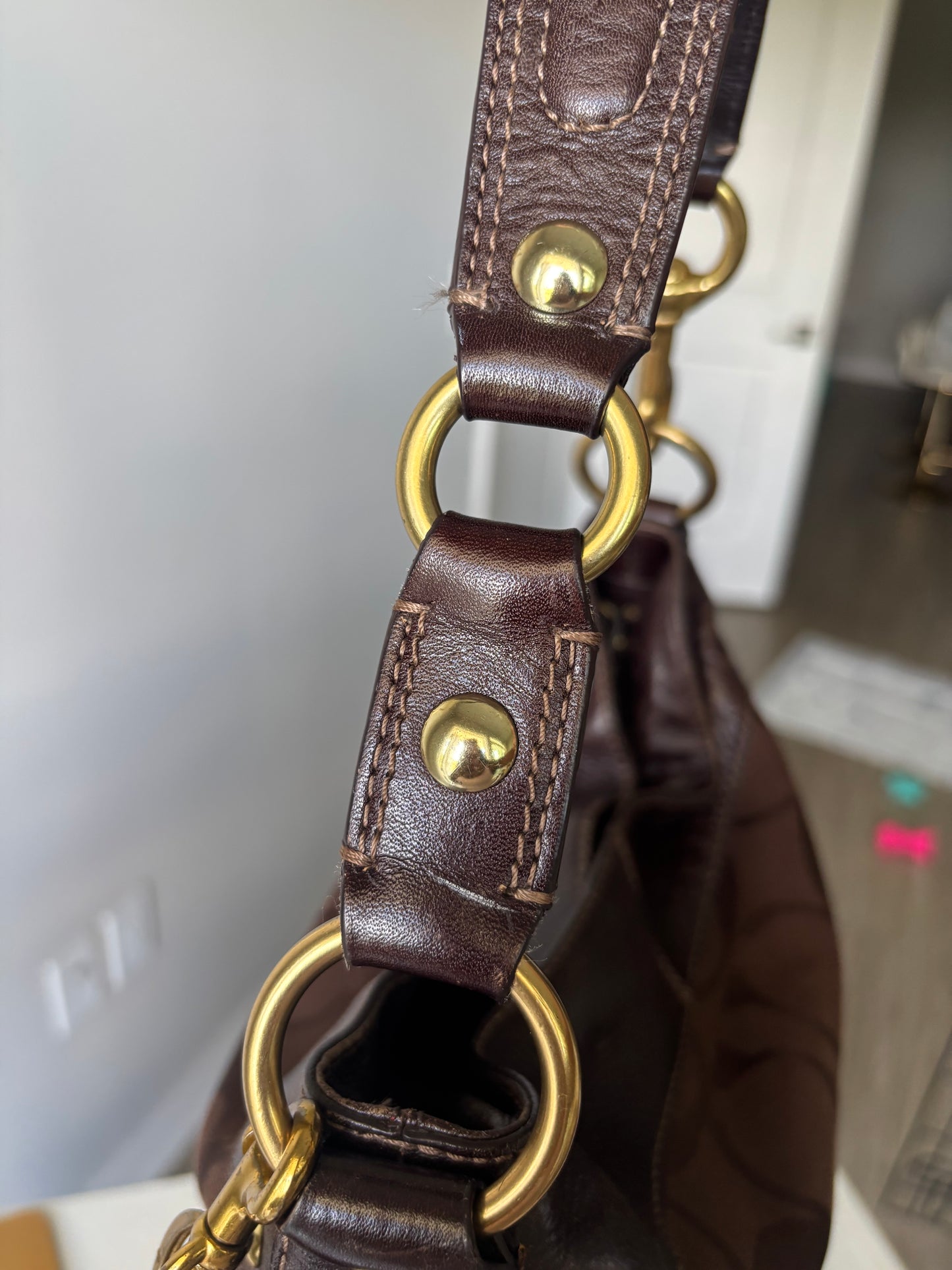 Rare brown coach Zoe
