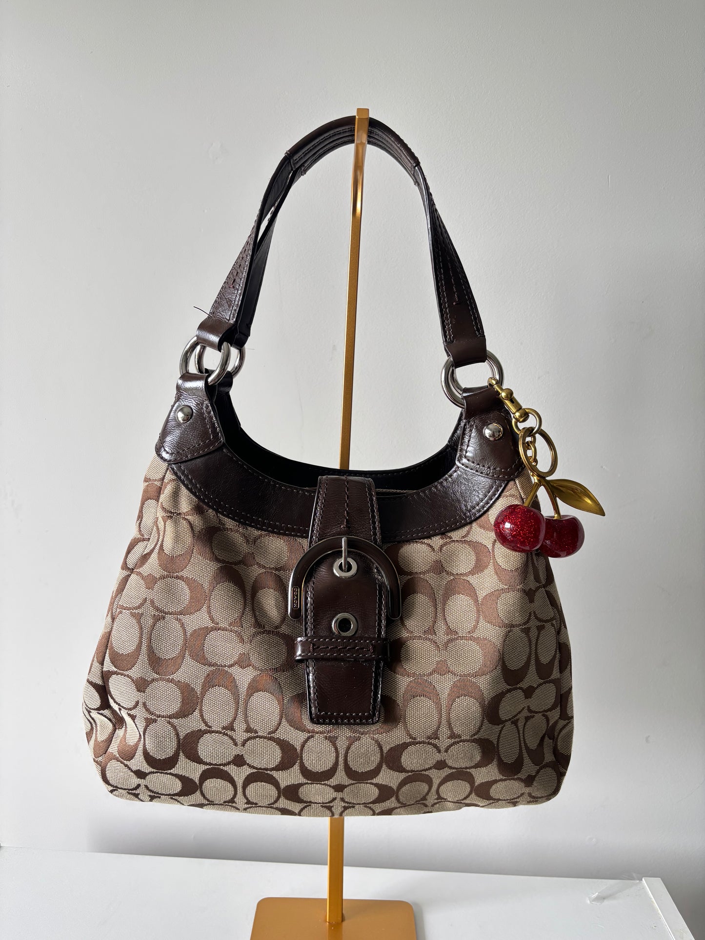 Brown coach soho Lyn