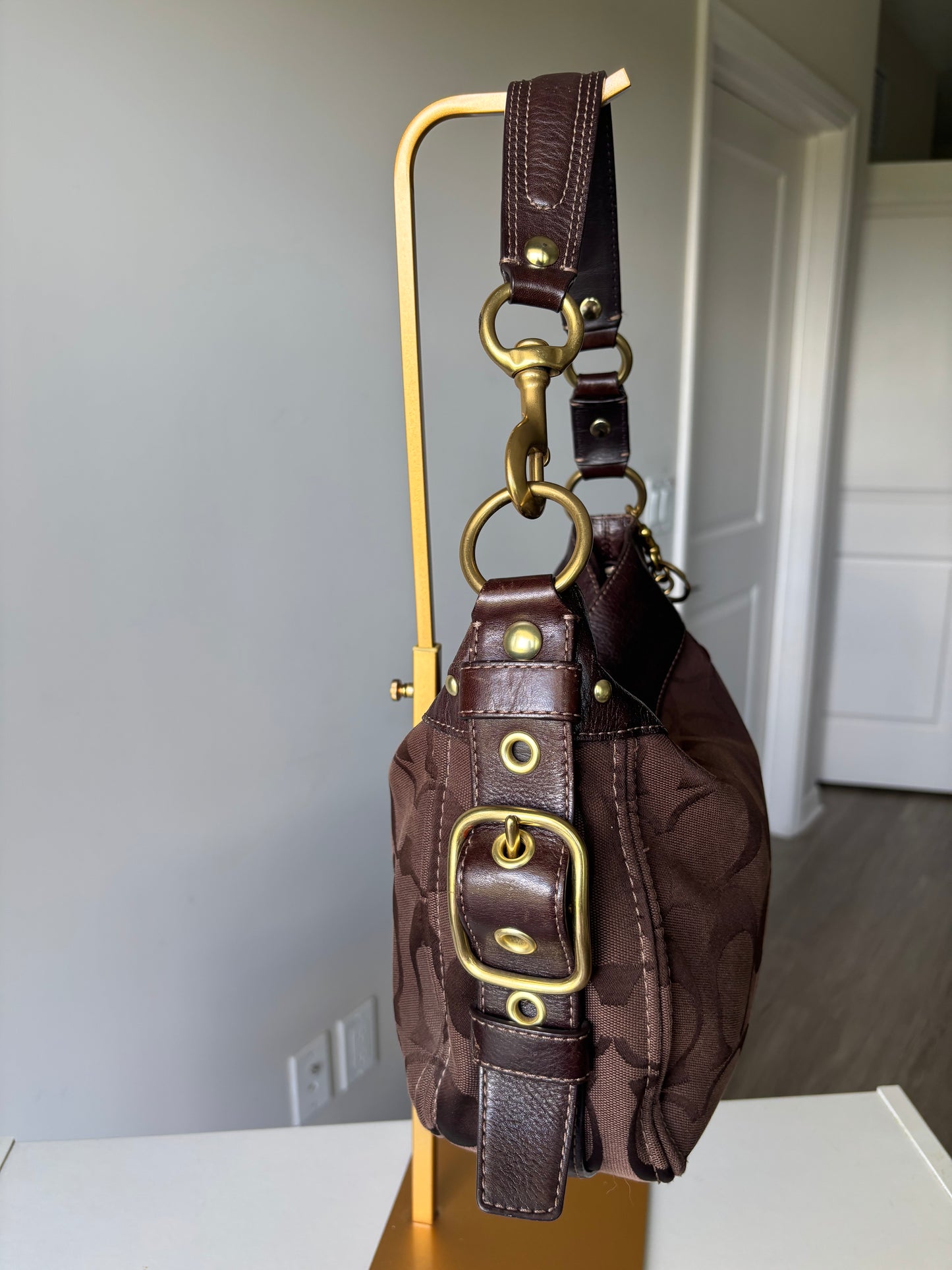 Rare brown coach Zoe