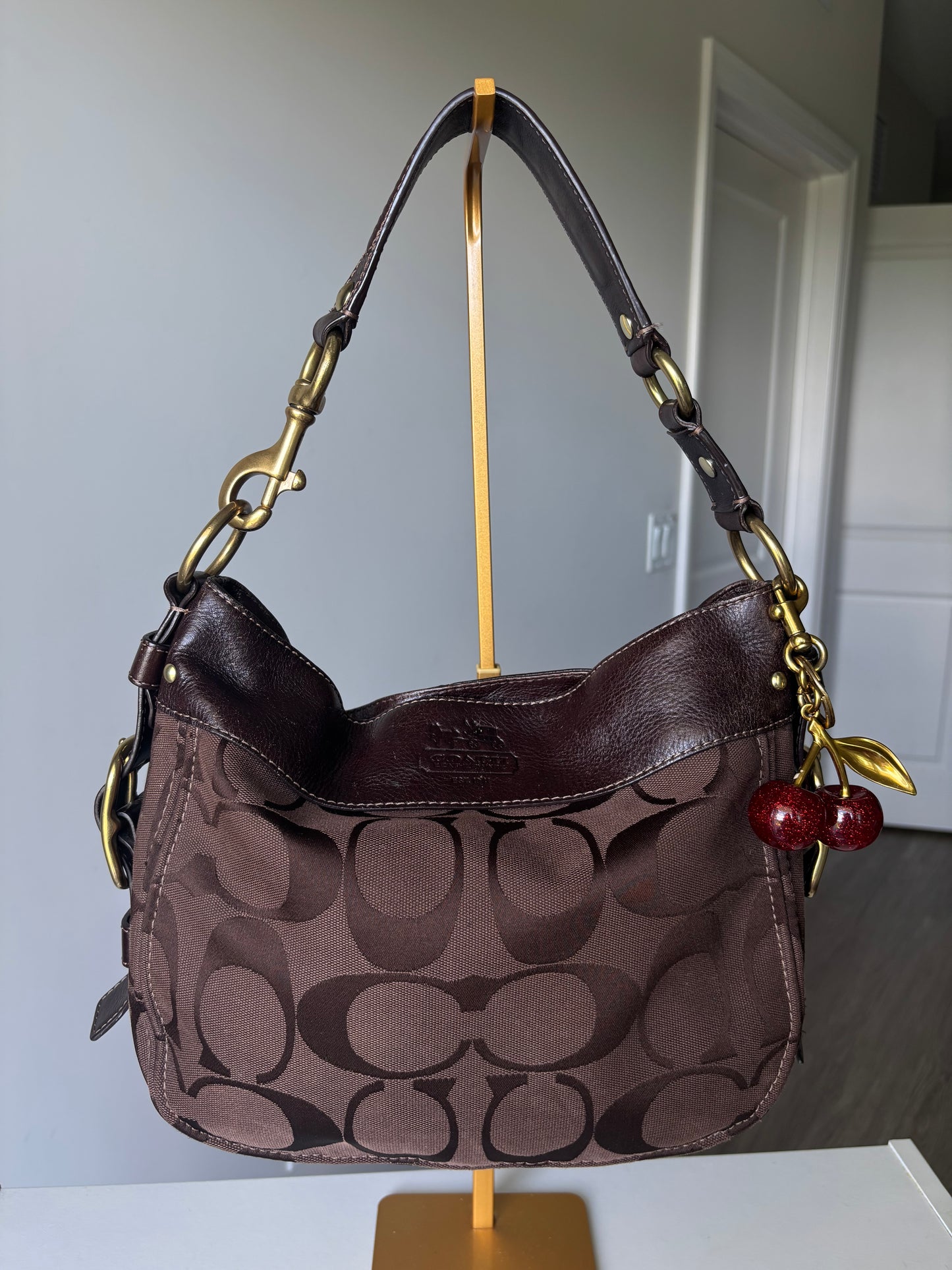 Rare brown coach Zoe